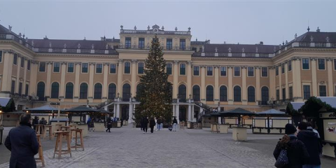 Obrázek: pages/media-38-.png