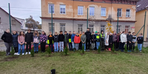 Obrázek: pages/shared-image-25-.png